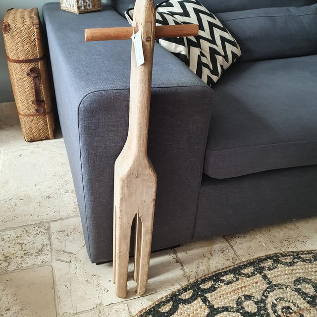 Picture for question