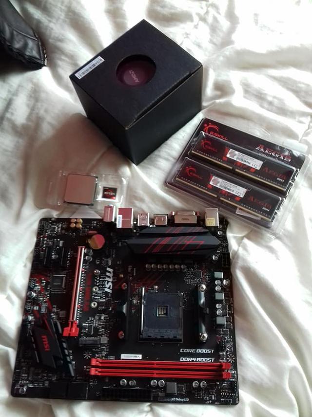 Picture for question