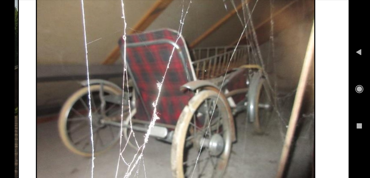 Picture for question