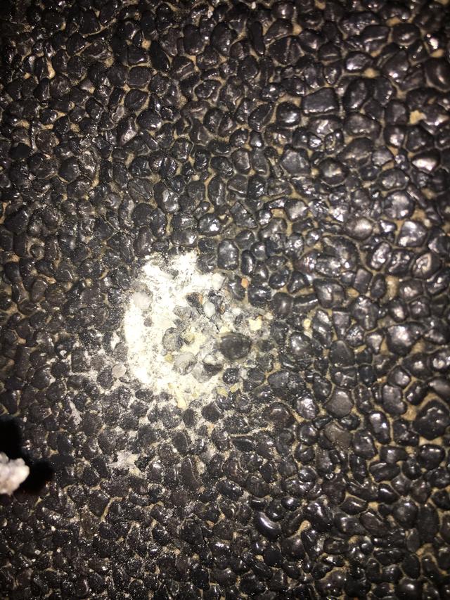 Picture for question