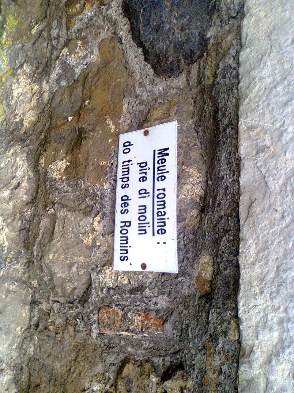 Picture for question