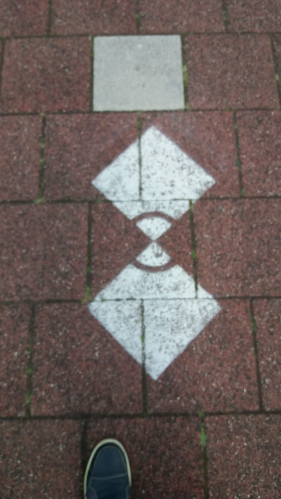 Picture for question