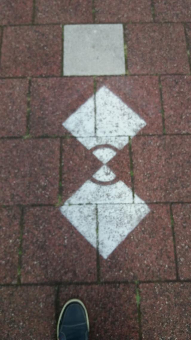 Picture for question