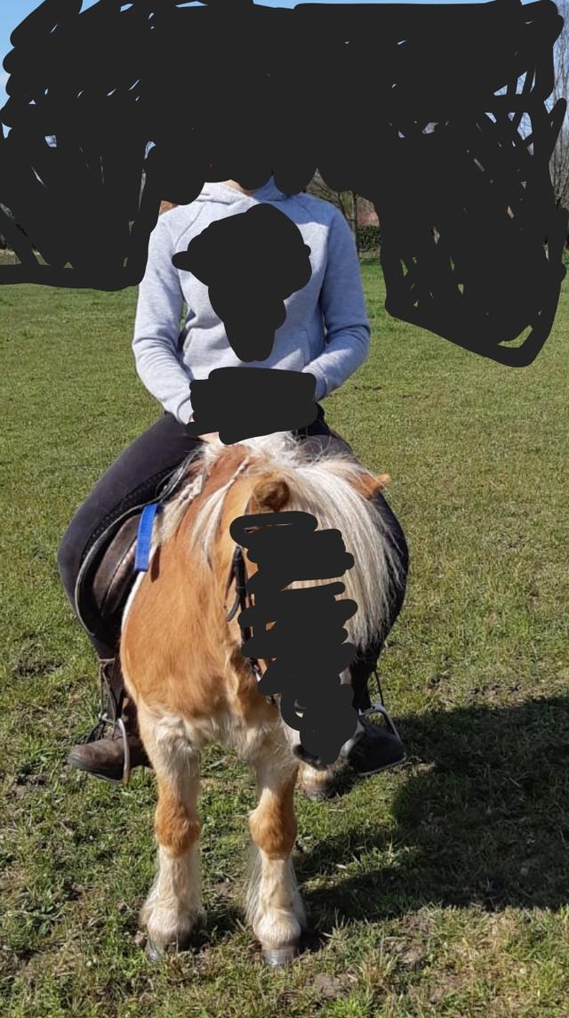 Picture for question