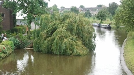 Plaatje bij antwoord