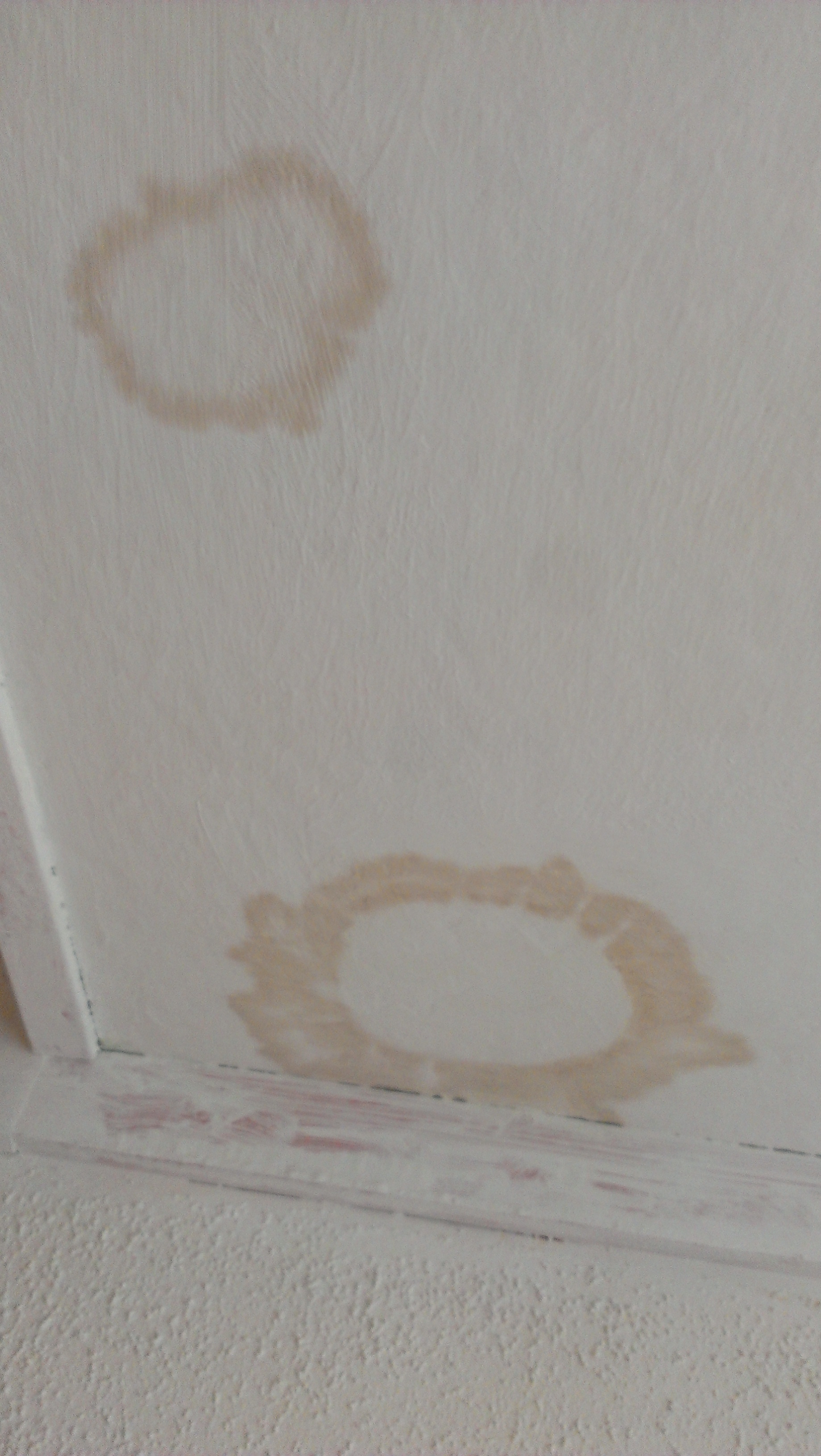 Picture for question