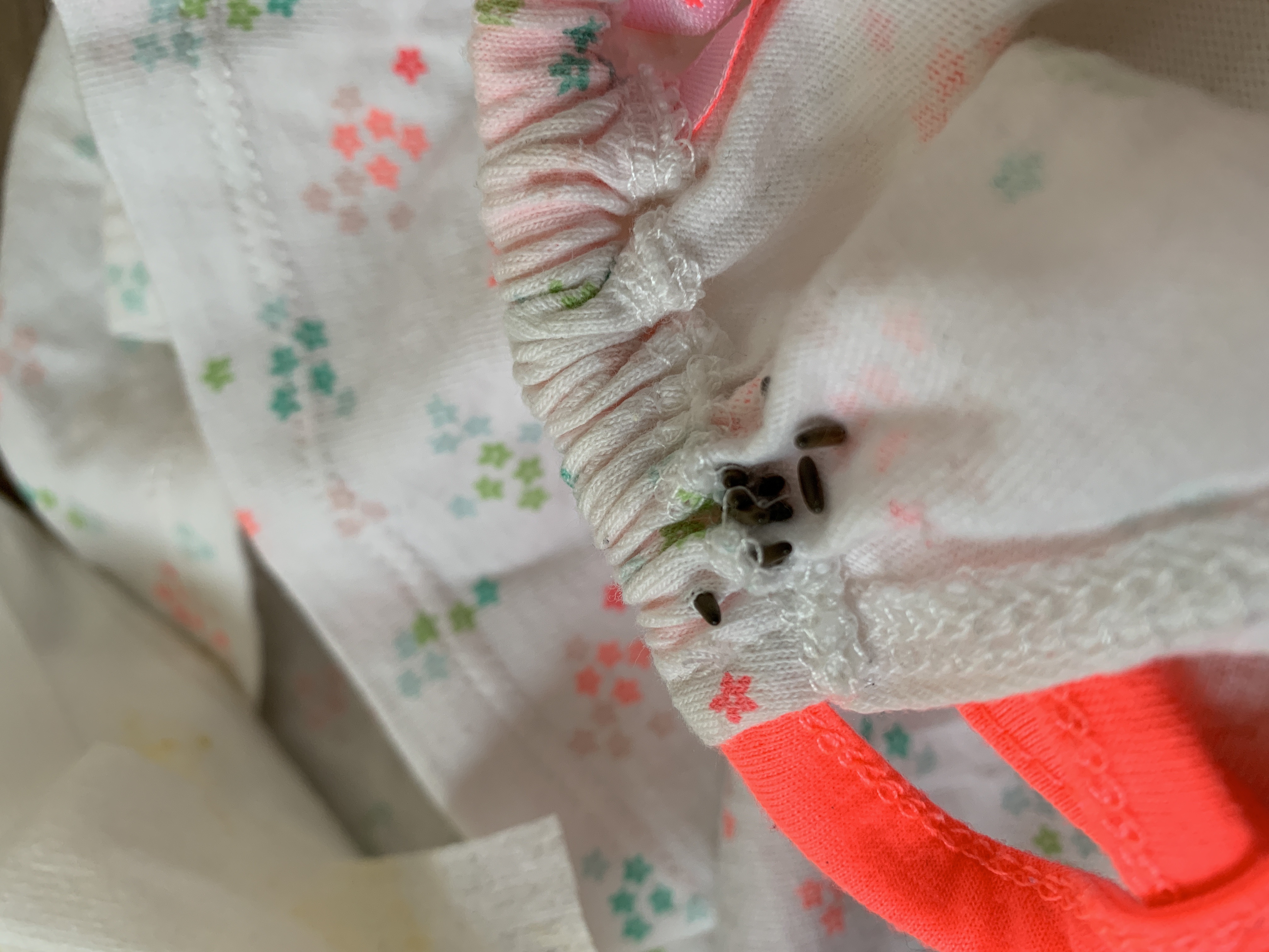 Picture for question