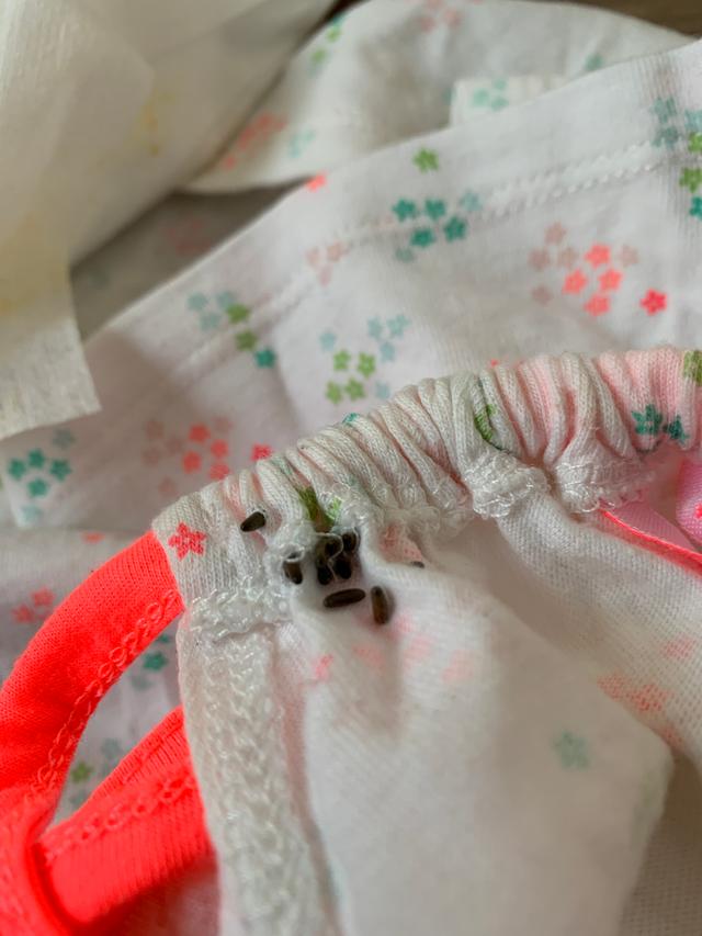 Picture for question