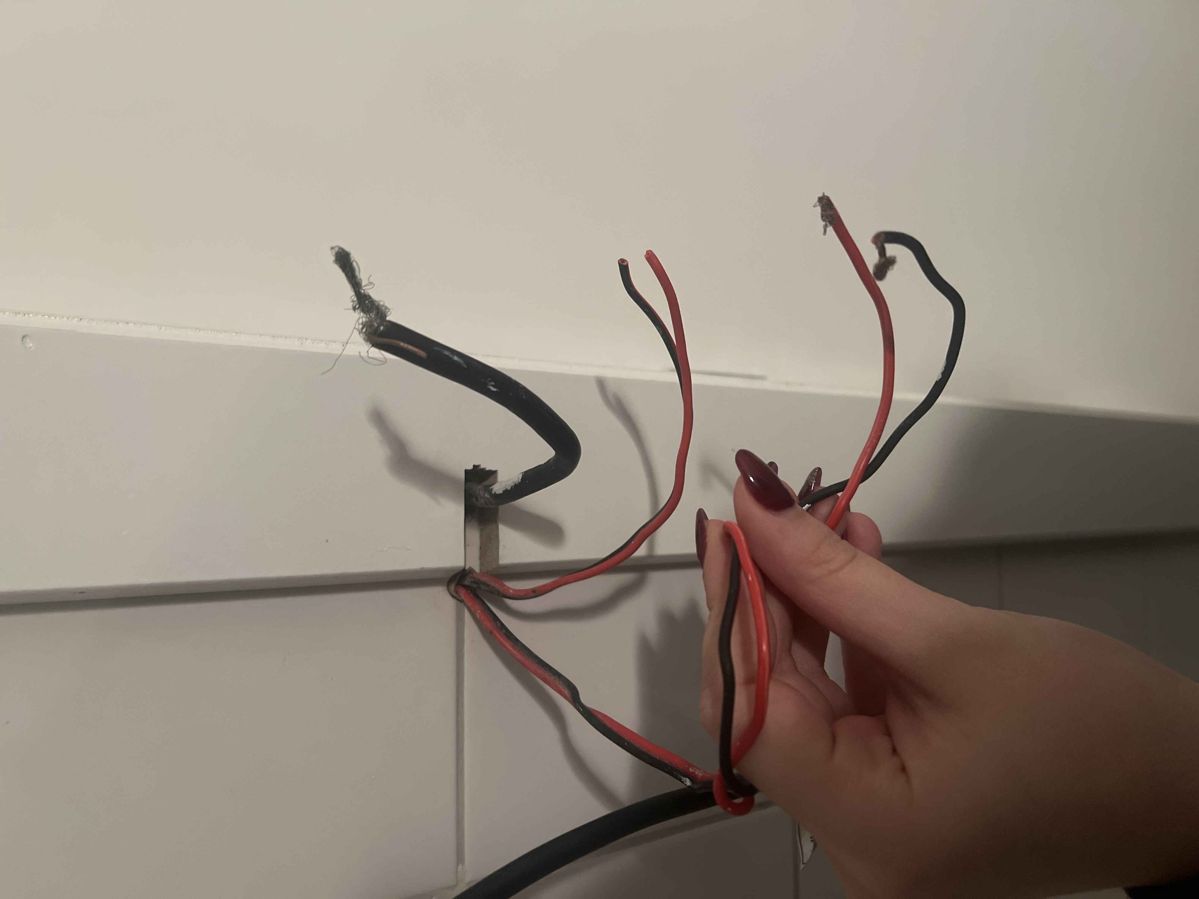 Picture for question