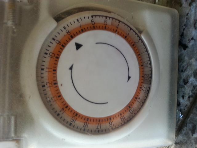 Picture for question