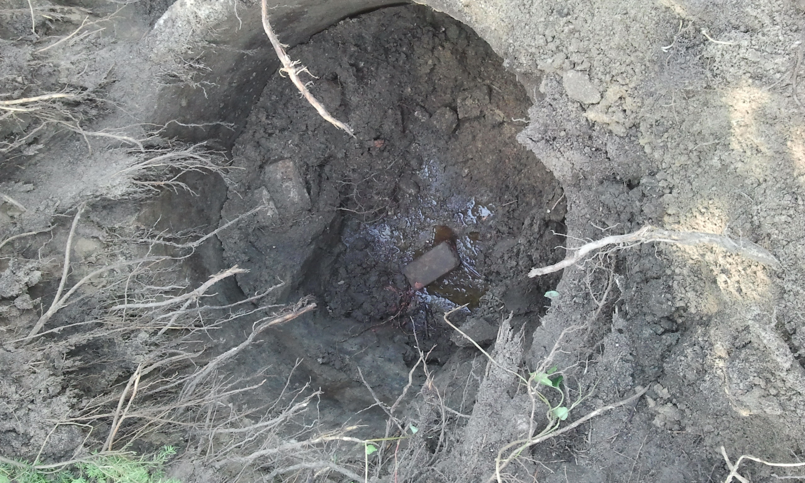 Picture for question