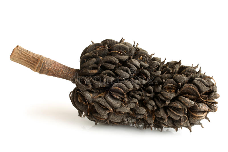 Plaatje bij antwoord