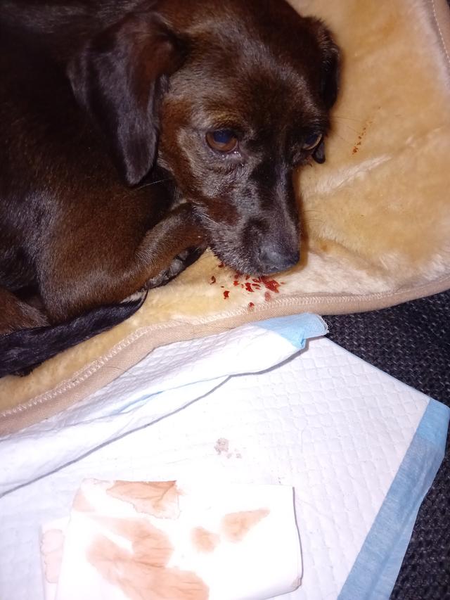 Picture for question