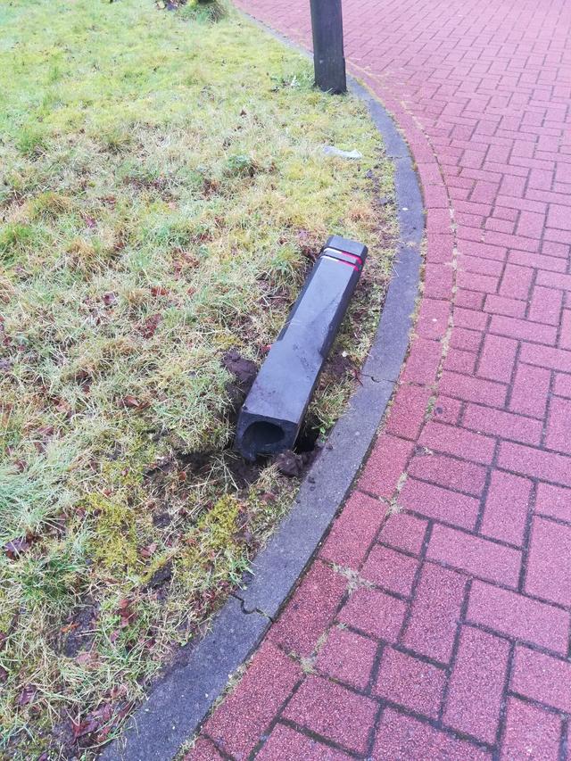 Picture for question