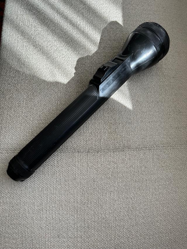 Picture for question