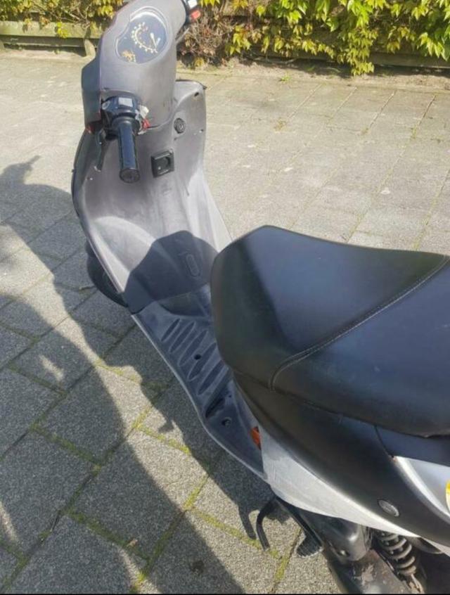 Picture for question