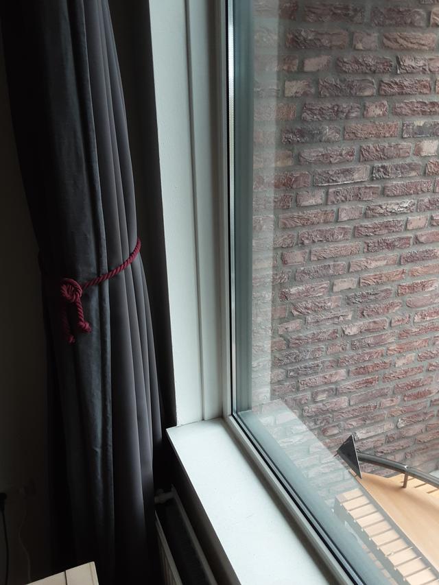 Picture for question