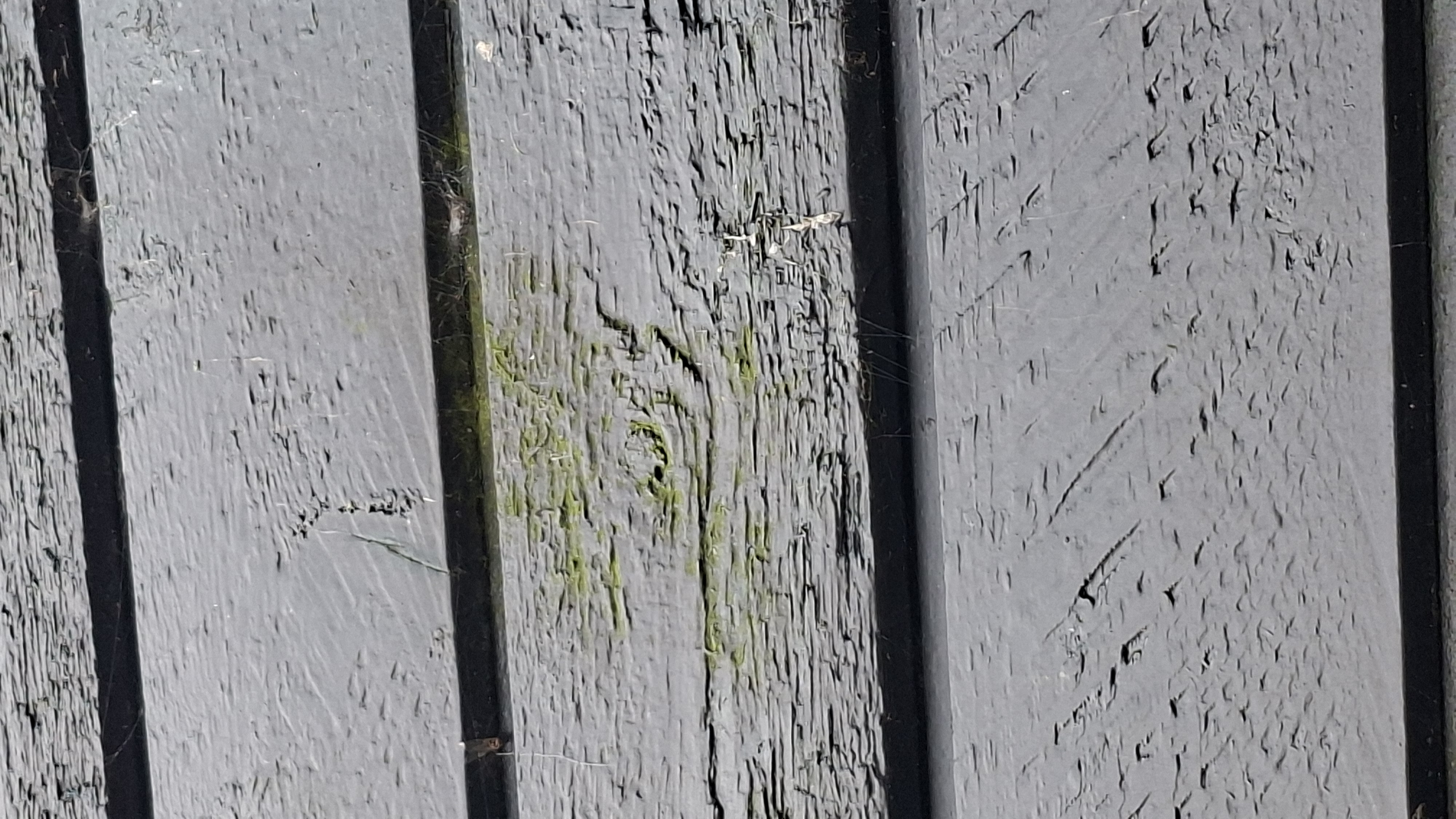 Picture for question