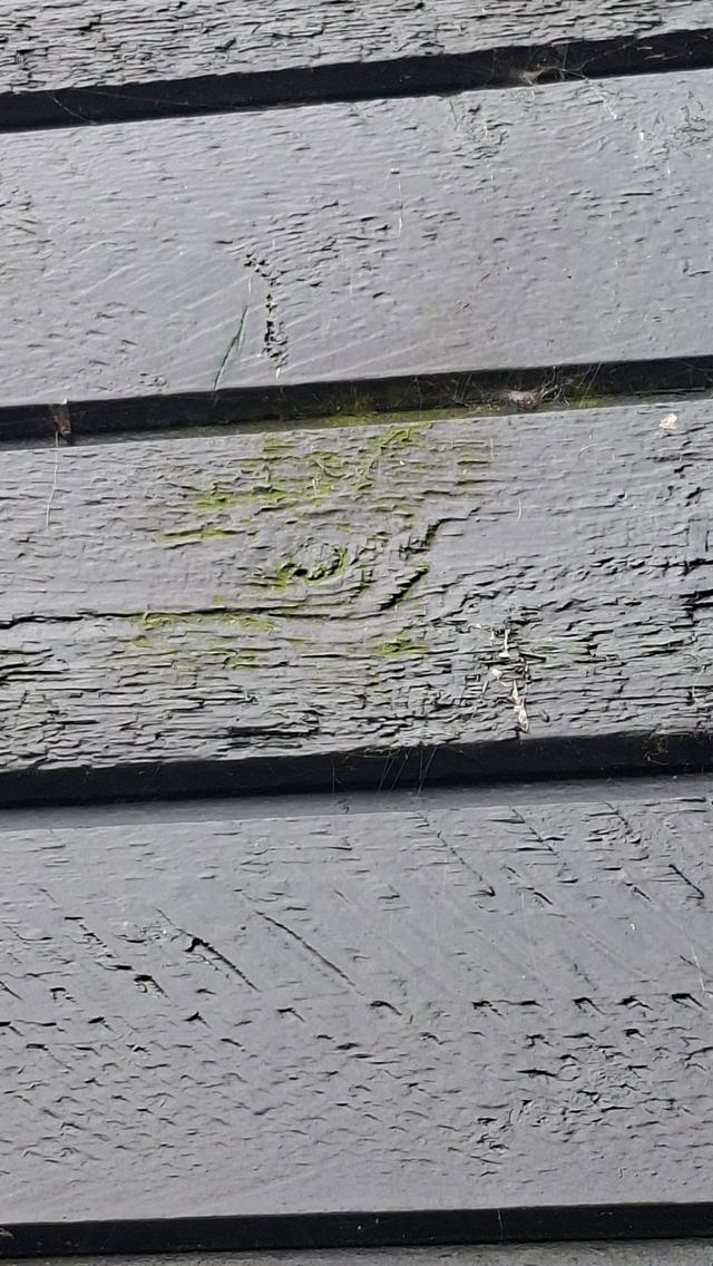 Picture for question