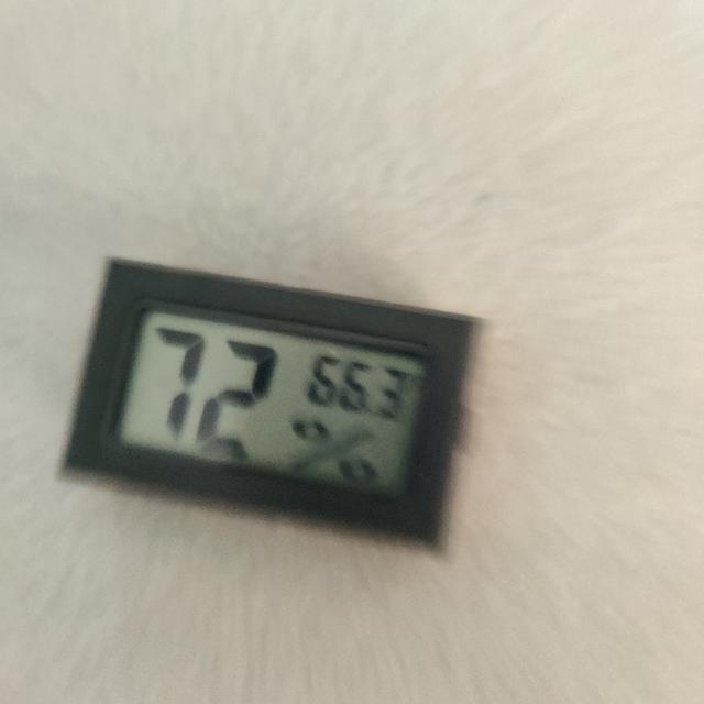 Picture for question