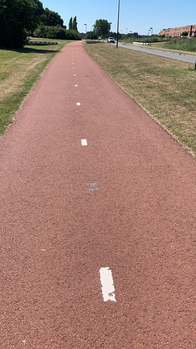 Picture for question