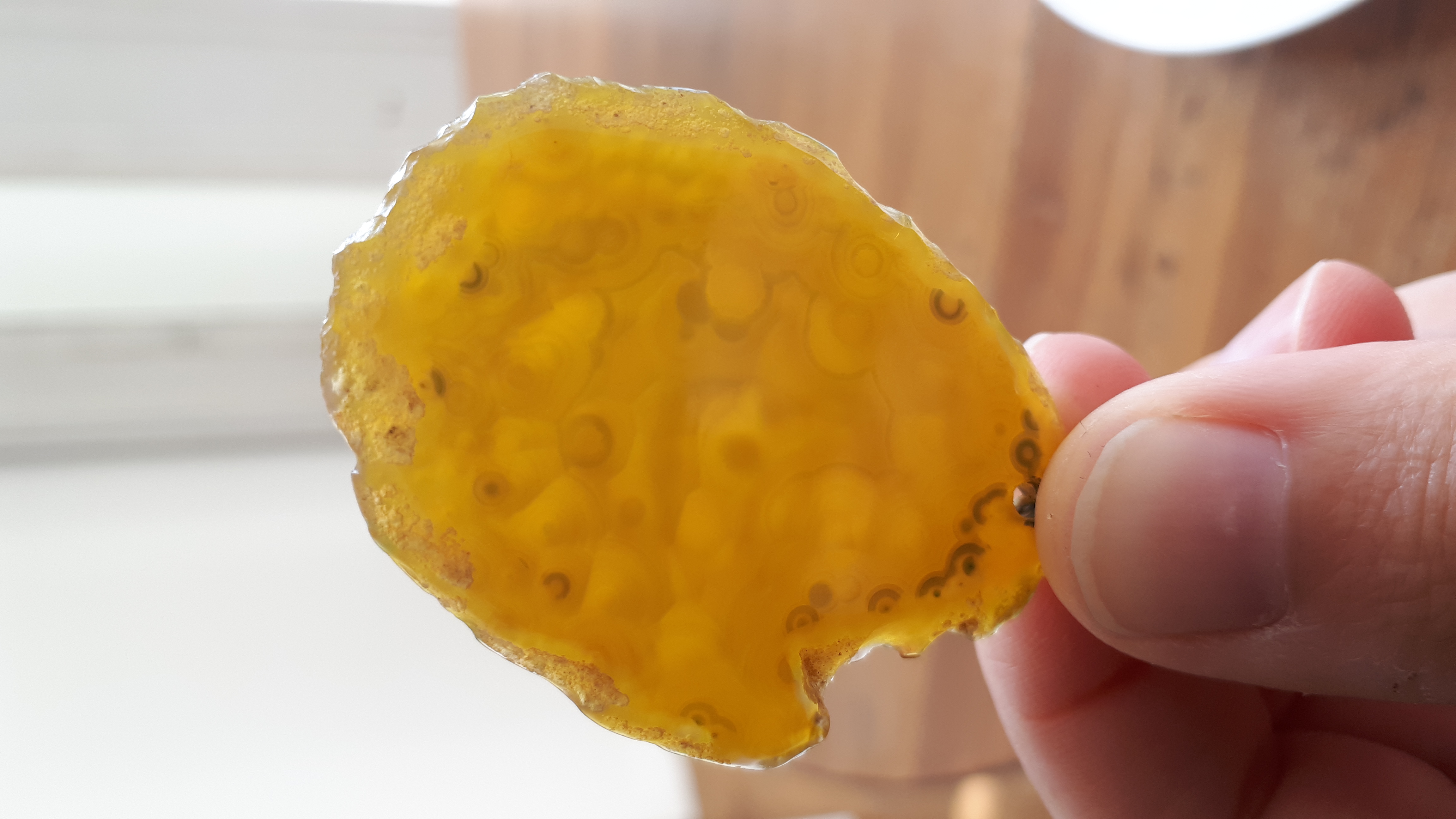 Picture for question