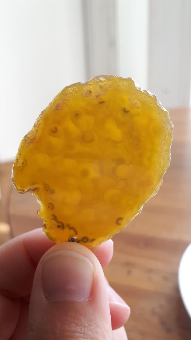 Picture for question