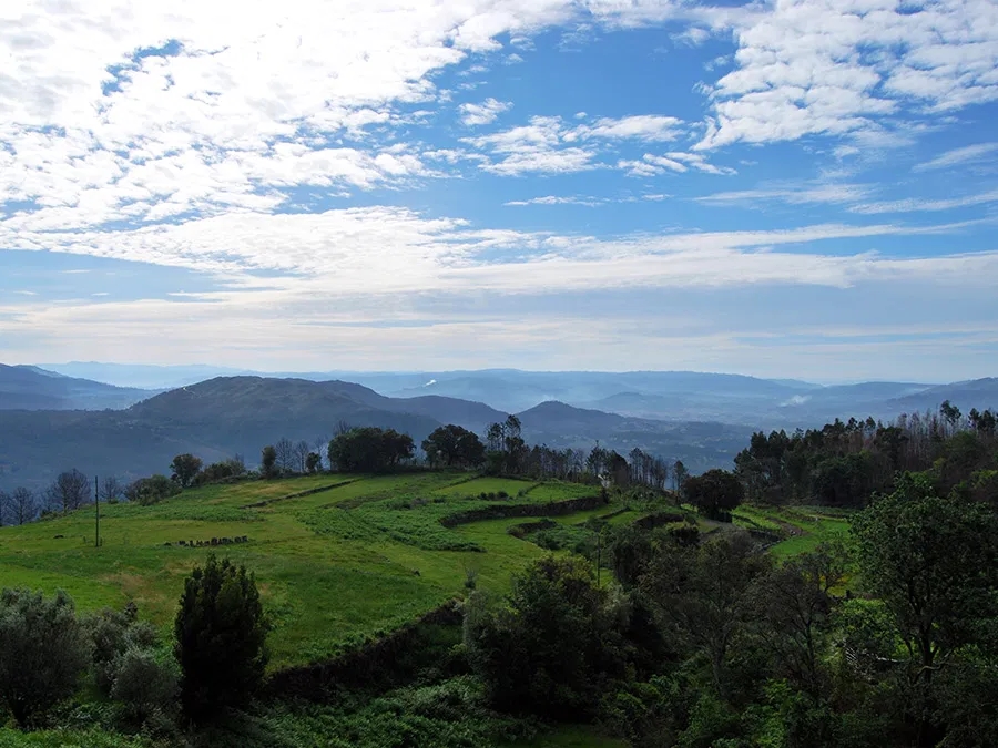 Plaatje bij antwoord