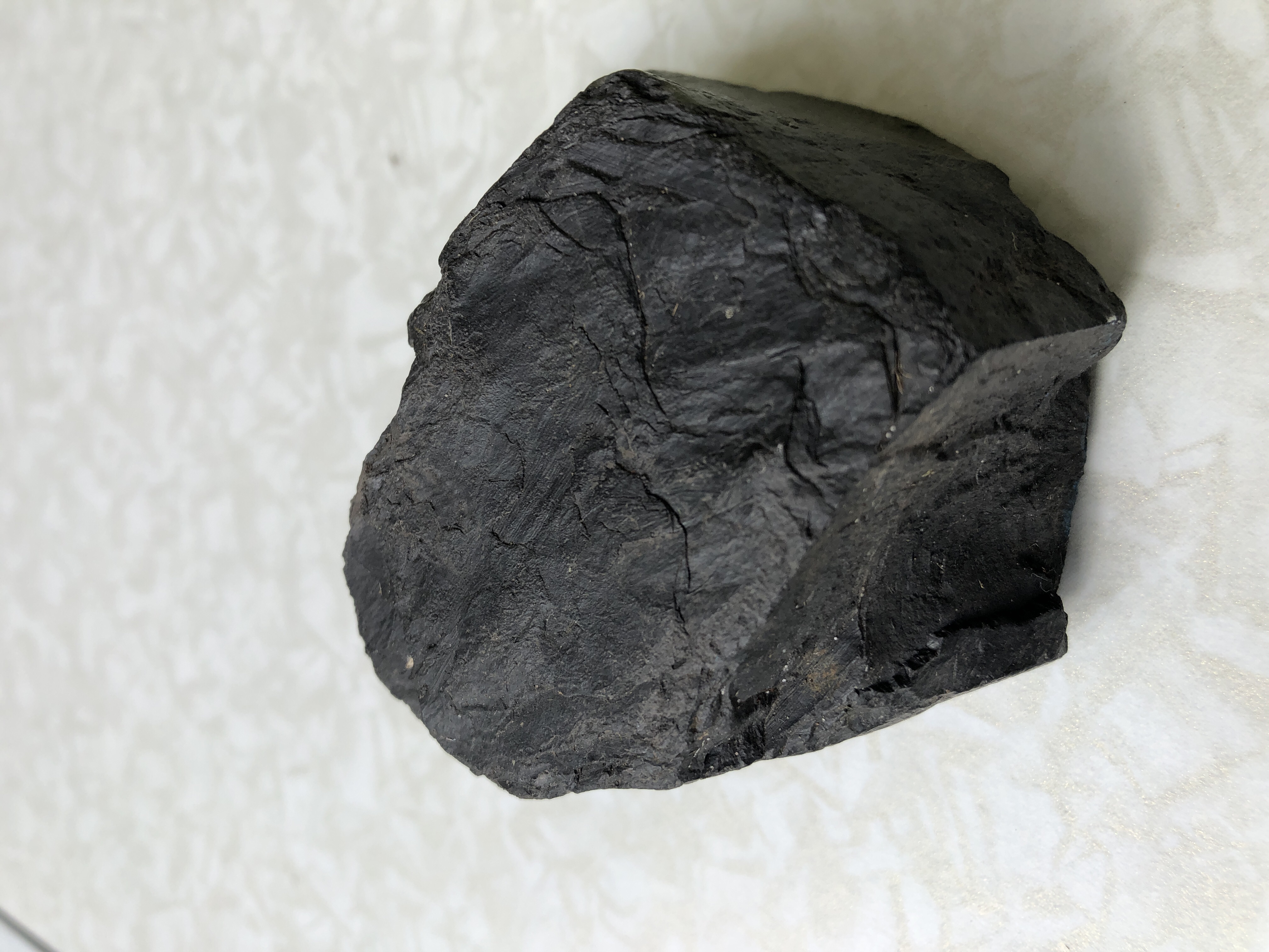 Picture for question