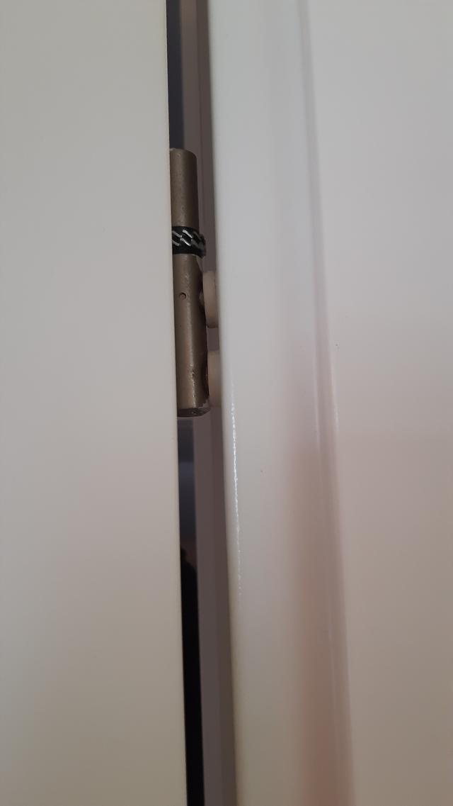 Picture for question