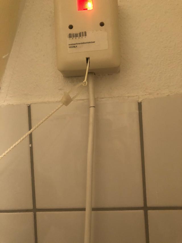 Picture for question