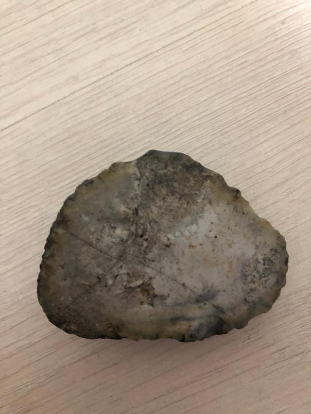 Picture for question