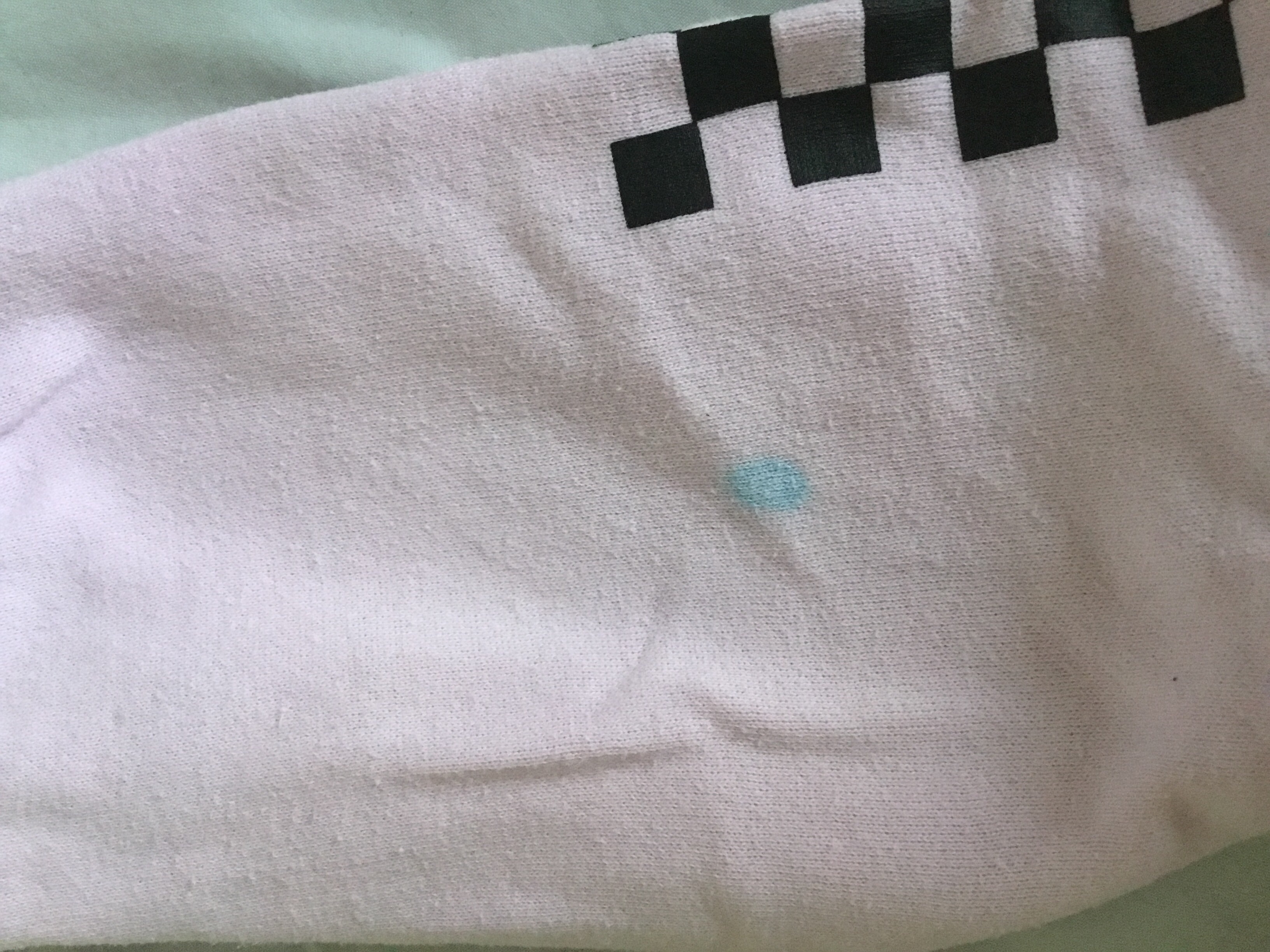 Picture for question