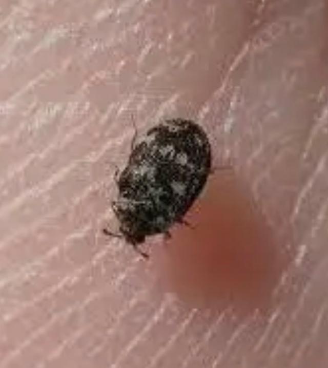 Plaatje bij antwoord