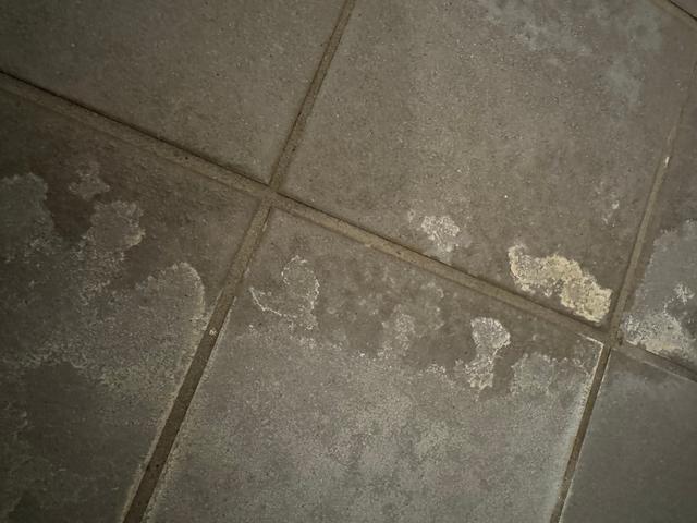 Picture for question