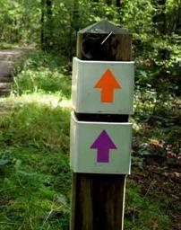 Picture for question