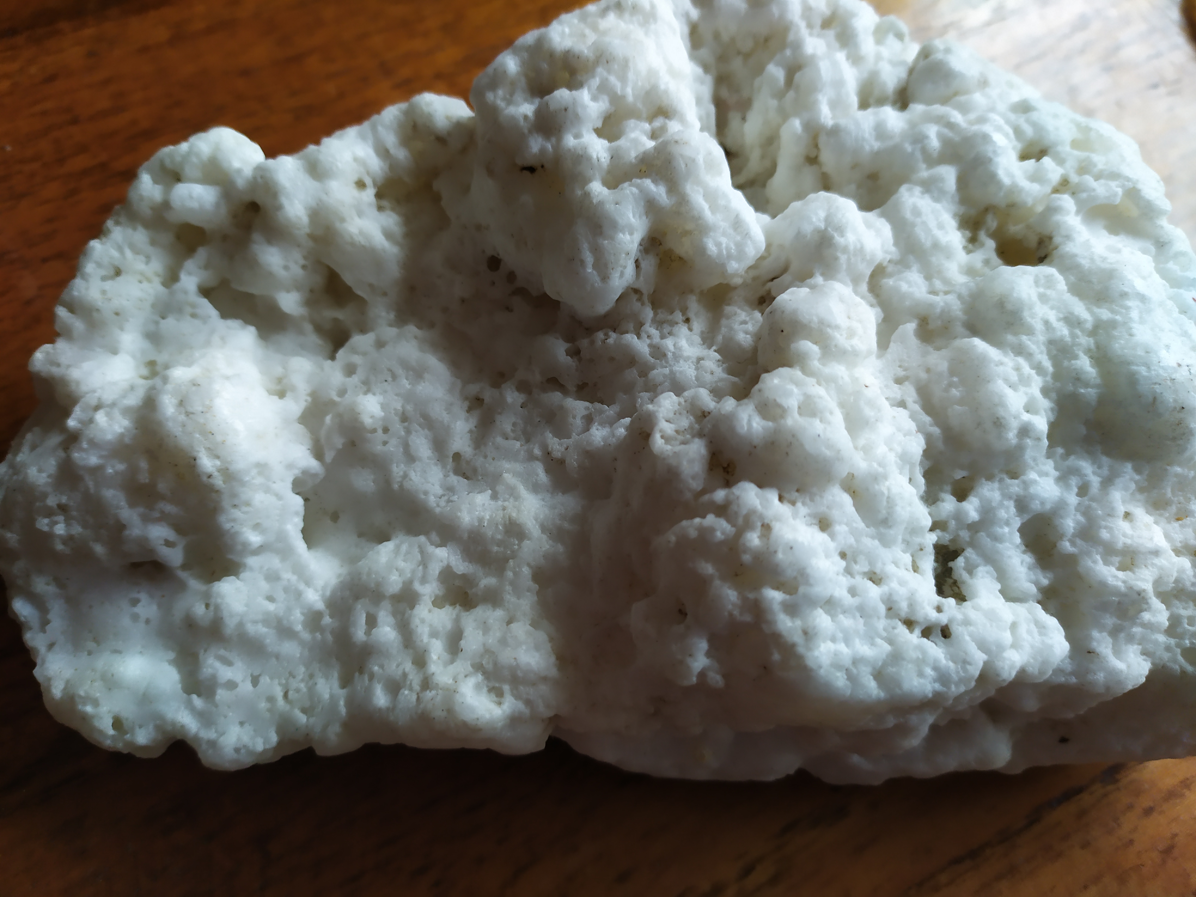 Picture for question