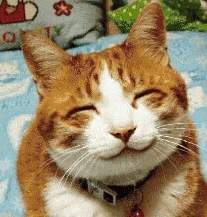 Plaatje bij antwoord