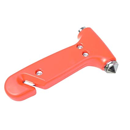 Picture for question