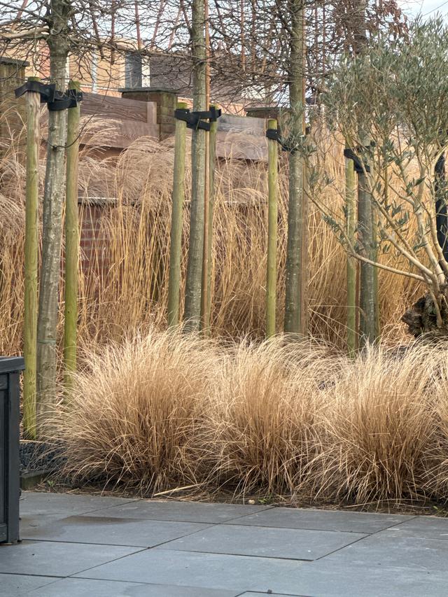 Picture for question