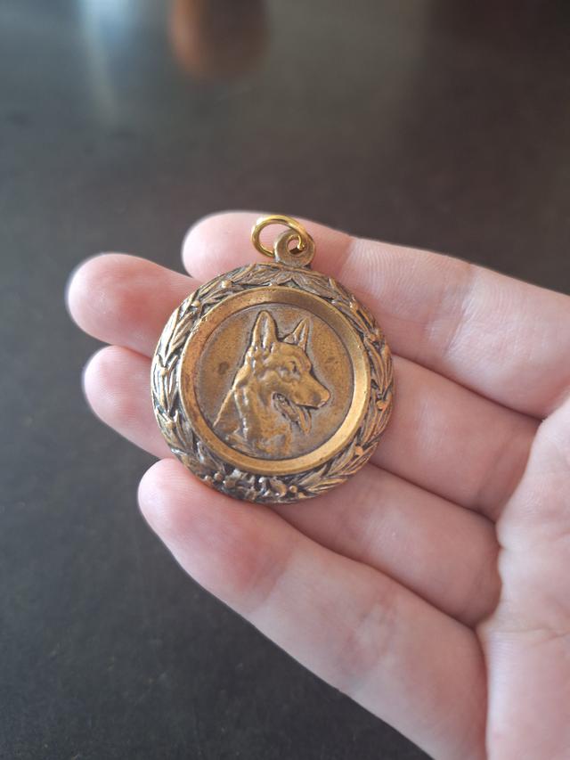 Picture for question