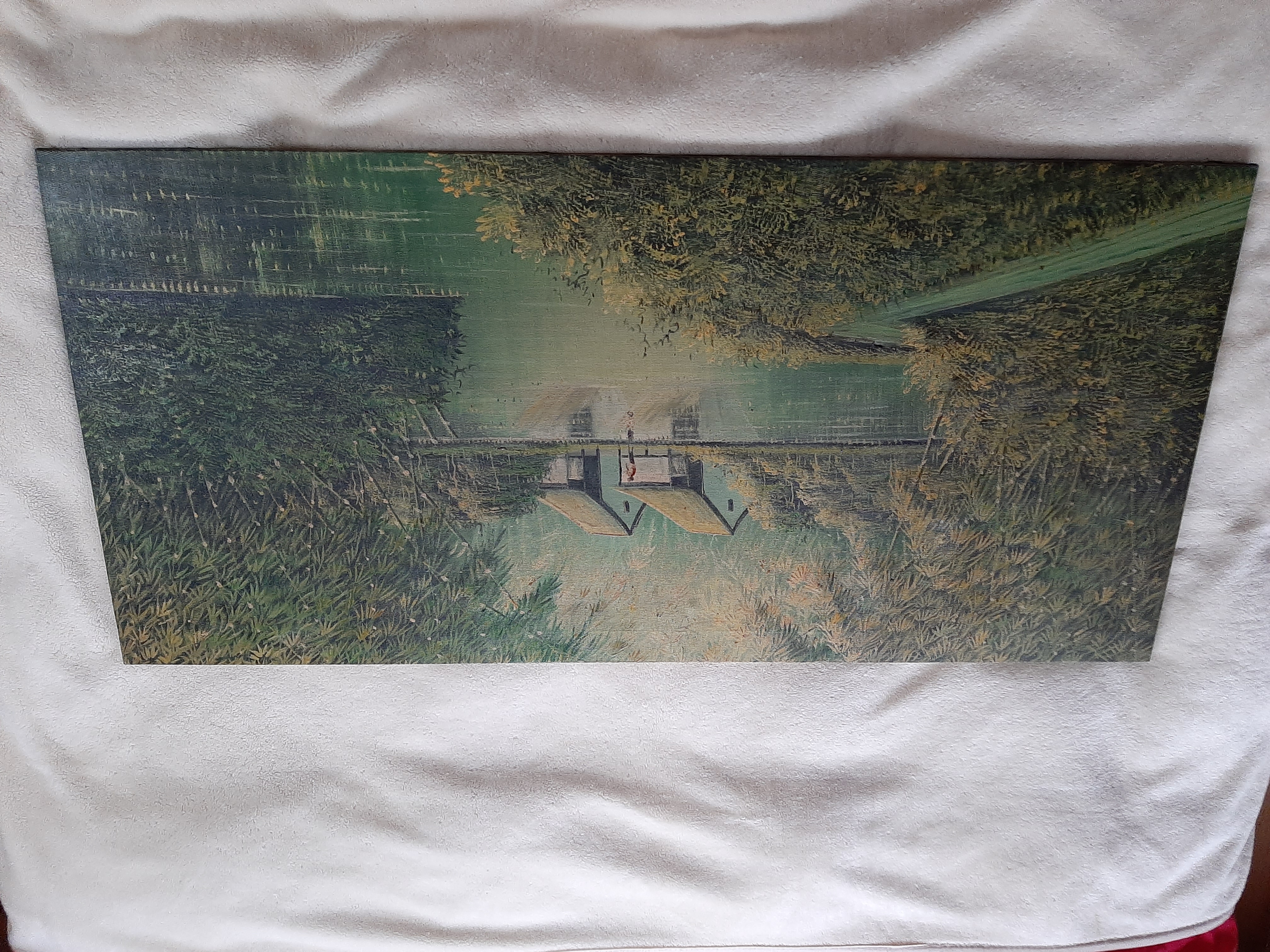 Picture for question