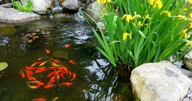 Plaatje bij antwoord