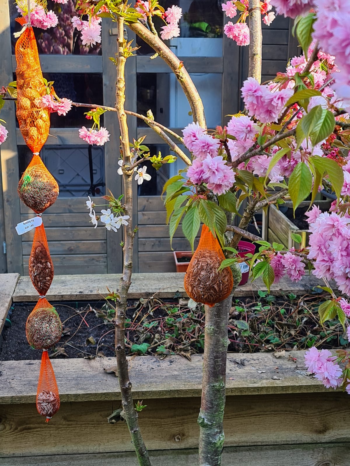 Picture for question