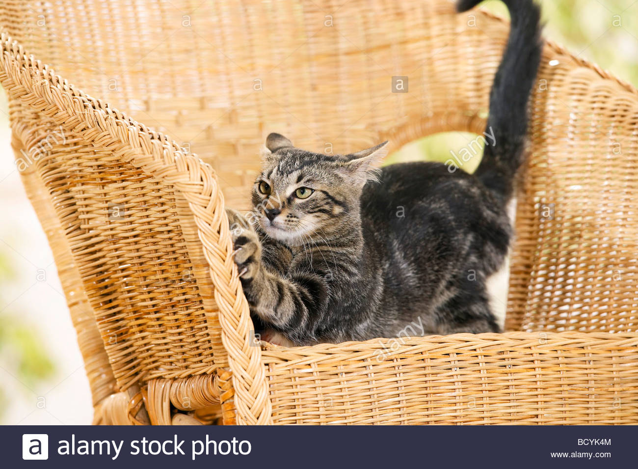 Plaatje bij antwoord