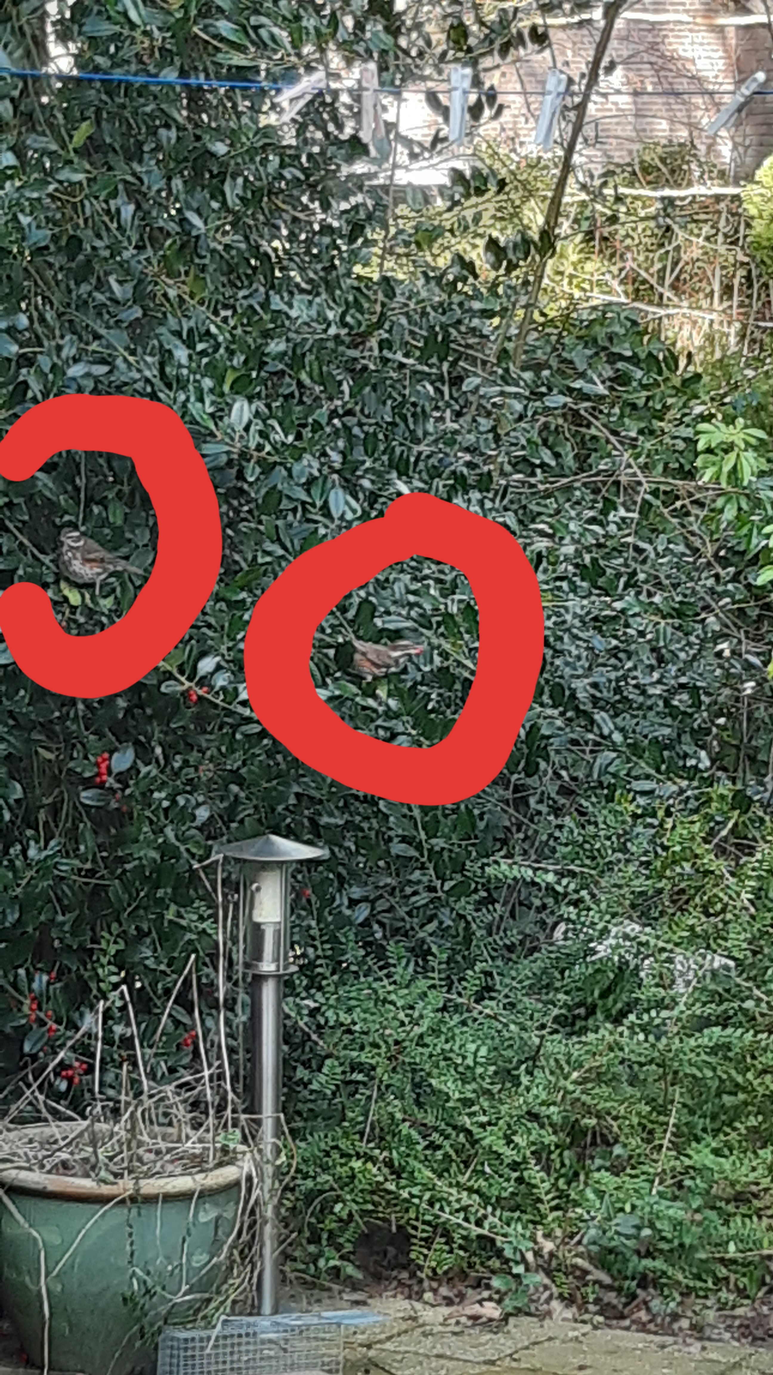 Picture for question