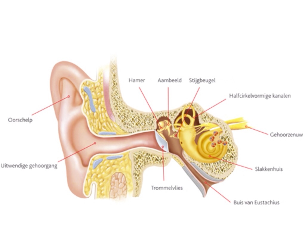 Plaatje bij antwoord