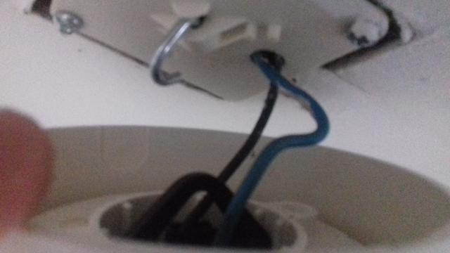 Picture for question