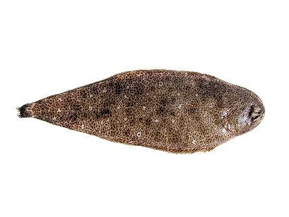 Plaatje bij antwoord