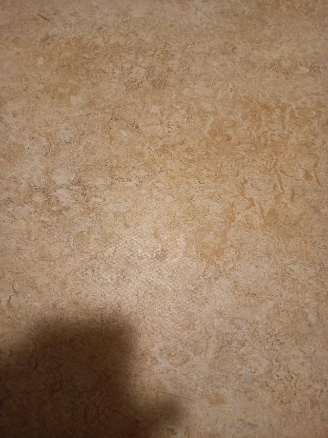 Picture for question